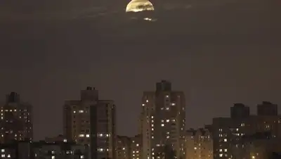 Zakon.kz, фото - Новости Zakon.kz от 07.08.2017 18:18