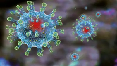 urjar.kz, фото - Новости Zakon.kz от 05.04.2020 08:25