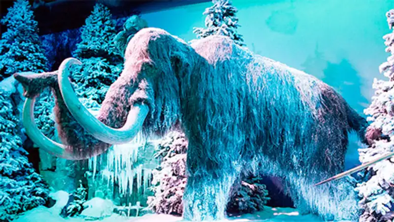 Туристов в Арктику привлекут парком мамонтов