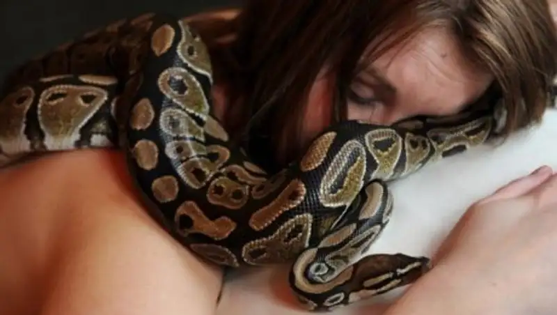 Жительница Лондона проснулась со змеей в своей постели