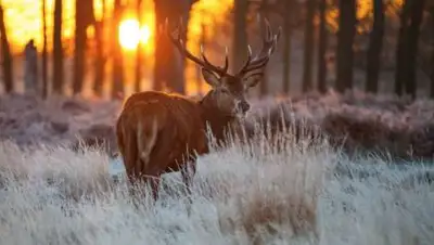 bigpikcha.ru, фото - Новости Zakon.kz от 15.09.2020 19:31