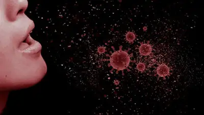 zakon.kz., фото - Новости Zakon.kz от 17.06.2020 08:21