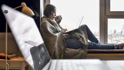 портал мэра и правительства Москвы/Юлия Иванко, фото - Новости Zakon.kz от 24.12.2020 18:17