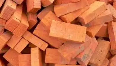 Zakon.kz, фото - Новости Zakon.kz от 12.08.2015 02:24