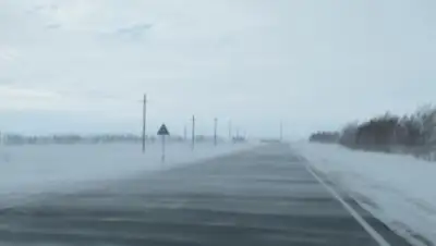 Zakon.kz, фото - Новости Zakon.kz от 18.01.2017 21:14