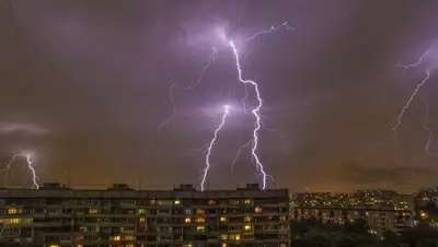 ТАСС, фото - Новости Zakon.kz от 03.08.2018 18:36