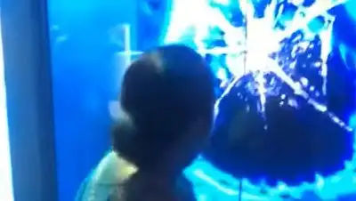 Zakon.kz, фото - Новости Zakon.kz от 08.07.2014 16:21