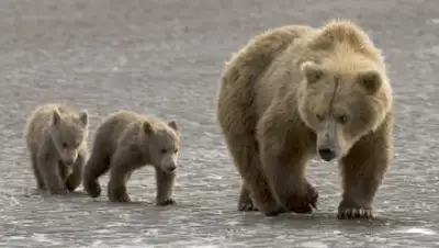 Zakon.kz, фото - Новости Zakon.kz от 09.08.2015 19:16