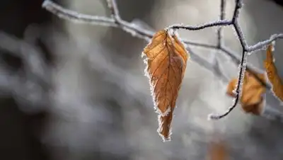 pixabay, фото - Новости Zakon.kz от 24.10.2021 15:42