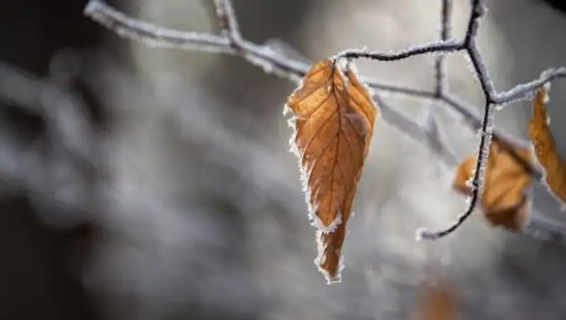 Штормовое предупреждение объявлено в трех областях Казахстана