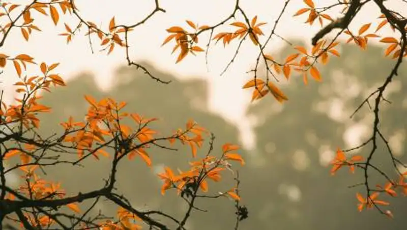 Какая погода ожидает казахстанцев в понедельник