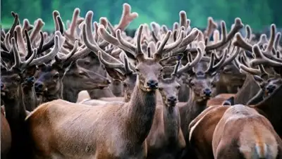 na-poluostrove.ru, фото - Новости Zakon.kz от 23.10.2018 20:15