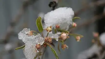 Zakon.kz, фото - Новости Zakon.kz от 23.04.2014 22:22
