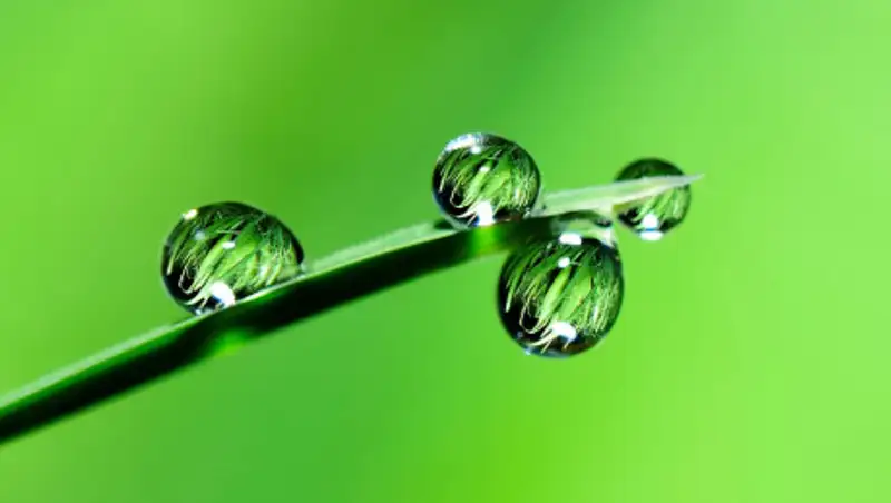 Неустойчивая погода сохраняется в Казахстане