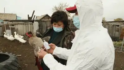 "Костанайские новости", фото - Новости Zakon.kz от 24.09.2020 10:40