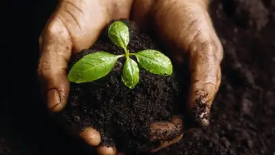 sonnikonline.club, фото - Новости Zakon.kz от 19.11.2019 14:41