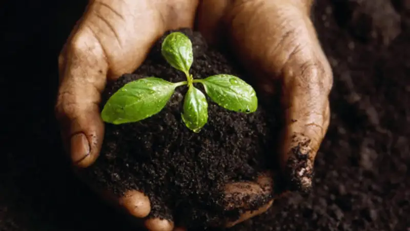 Что говорит Баталов о спорных землях и нападении на активистку