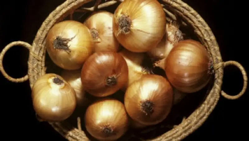 Сила овощей: ученые создали искусственные мышцы из кожицы лука