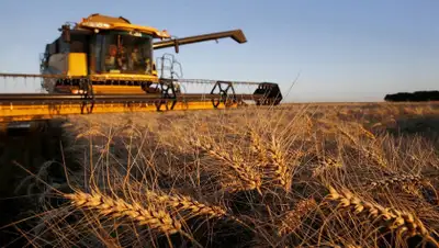 inbusiness.kz, фото - Новости Zakon.kz от 26.05.2020 10:05