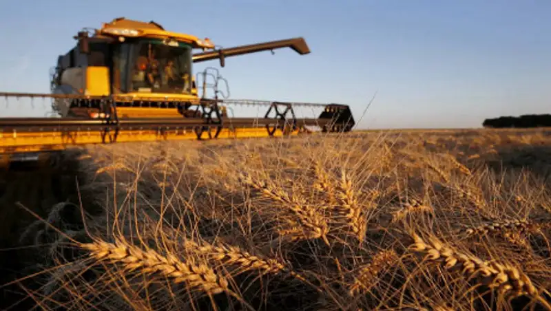 О видах на урожай в этом году рассказали в правительстве Казахстана