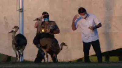 Twitter, фото - Новости Zakon.kz от 15.07.2020 12:43