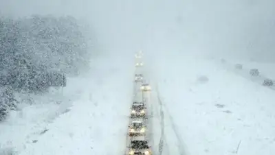 bessarabiainform.com, фото - Новости Zakon.kz от 03.12.2019 17:31