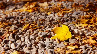 pxhere.com, фото - Новости Zakon.kz от 21.10.2019 11:19