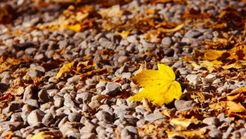 Какая погода ждет казахстанцев в ближайшие три дня