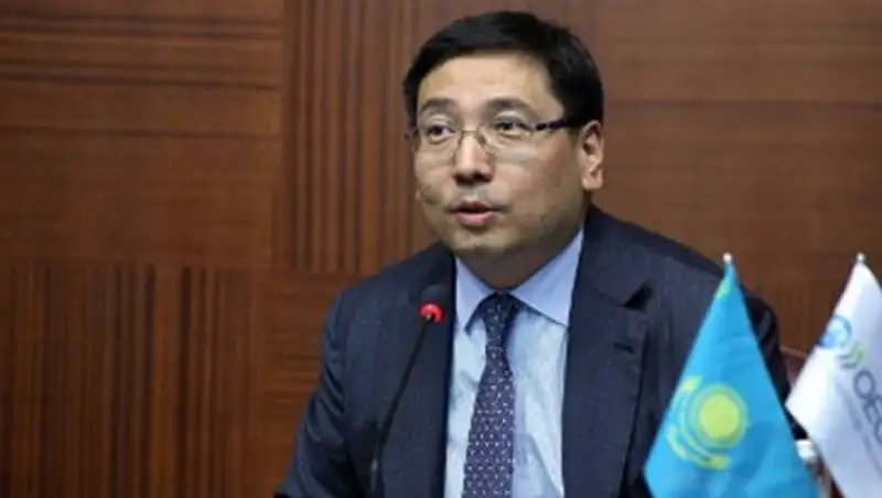 ОЭСР разработала для Казахстана программу сотрудничества