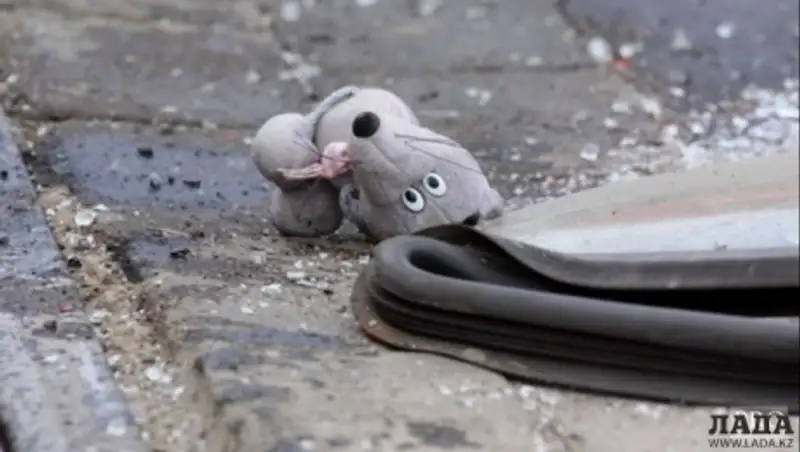 В Мангистау сбили шестилетнюю девочку