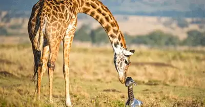 Zakon.kz, фото - Новости Zakon.kz от 11.03.2015 20:33