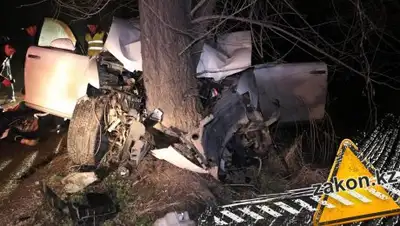 Zakon.kz, фото - Новости Zakon.kz от 12.03.2018 02:00