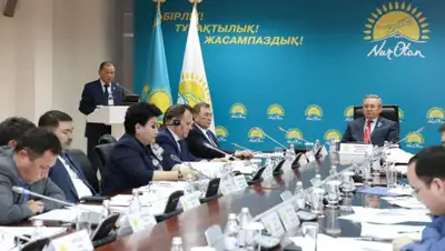 Nur Otan , фото - Новости Zakon.kz от 22.01.2020 17:34