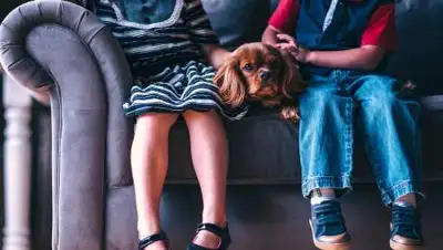 pixabay.com, фото - Новости Zakon.kz от 19.02.2021 00:56