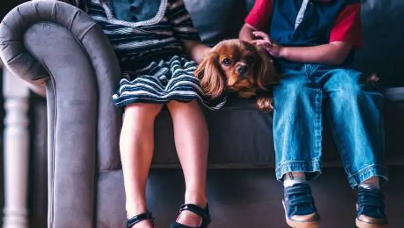 С 14 лет предлагают наказывать за издевательства над животными в Казахстане