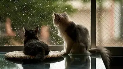 Zakon.kz, фото - Новости Zakon.kz от 17.07.2017 12:00