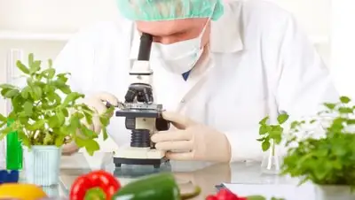 Фото: Law5, фото - Новости Zakon.kz от 12.12.2017 12:23