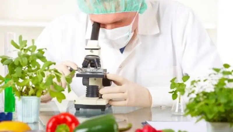 Более 170 тонн опасной продукции утилизировано в Казахстане