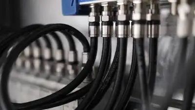 Pixabay, фото - Новости Zakon.kz от 20.12.2020 02:15