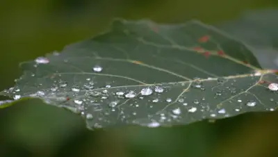 pixnio.com, фото - Новости Zakon.kz от 08.04.2019 09:11