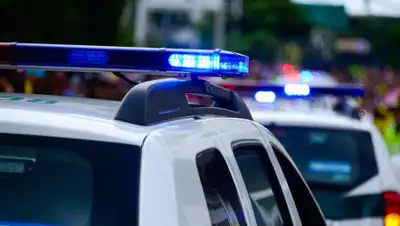 Pixabay, фото - Новости Zakon.kz от 21.12.2019 15:07