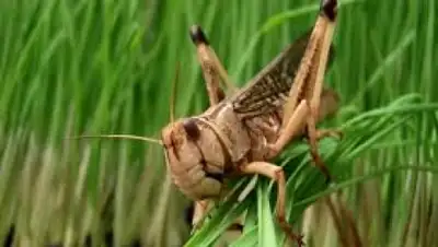 Zakon.kz, фото - Новости Zakon.kz от 09.07.2015 06:29