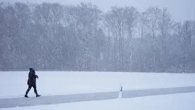 Pixabay, фото - Новости Zakon.kz от 22.02.2019 15:26