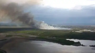 Пожар на озере Талдыколь в Нур-Султане, фото - Новости Zakon.kz от 22.06.2022 08:43