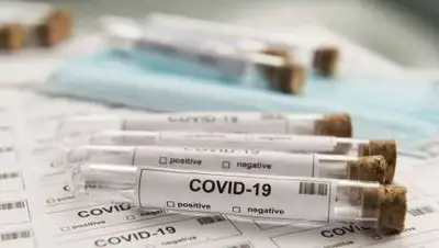 Агентство, фото - Новости Zakon.kz от 09.11.2020 10:36