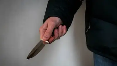 pavon.kz, фото - Новости Zakon.kz от 14.10.2018 21:40