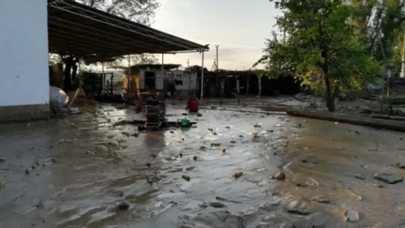 Как ликвидируют последствия потопа в Алматинской области