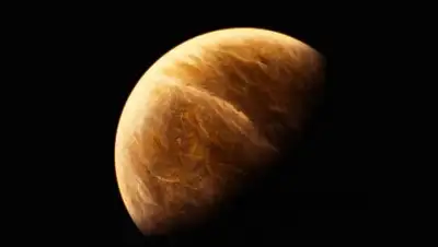 HDQwalls, фото - Новости Zakon.kz от 18.10.2020 16:33