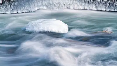 pixabay.com, фото - Новости Zakon.kz от 06.04.2019 00:29