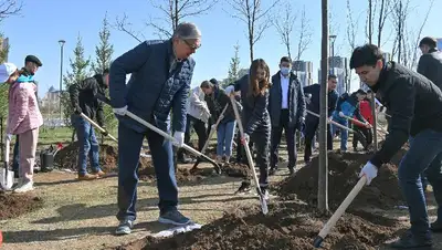 Президент Казахстана субботник дерево, фото - Новости Zakon.kz от 23.04.2022 12:25